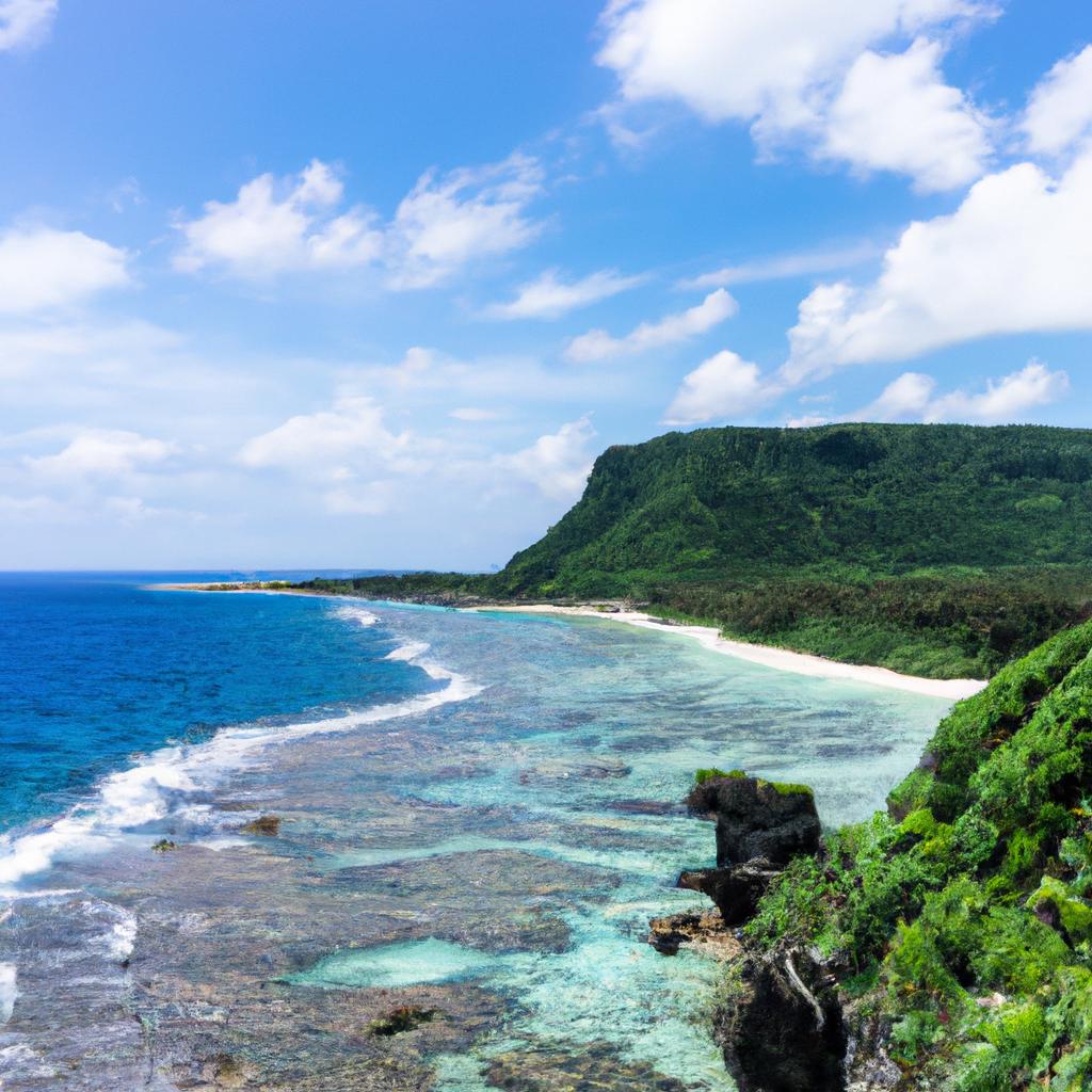沖縄北部の家族旅行をもっと便利に！